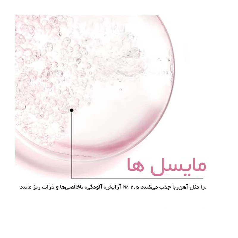محلول پاک کننده آرایش صورت گارنیه مدل Skin Naturals حجم 400 میلی‌لیتر