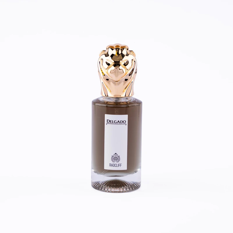 عطر جیبی مردانه دلگادو مدل رادکلیف با رایحه گرم حجم 25 میلی‌لیتر